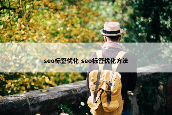 seo标签优化 seo标签优化方法