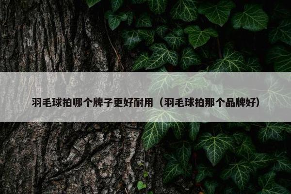 羽毛球拍哪个牌子更好耐用（羽毛球拍那个品牌好）