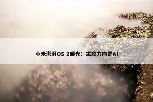 小米澎湃OS 2曝光：主攻方向是AI