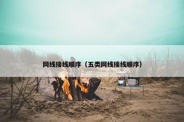 网线接线顺序（五类网线接线顺序）