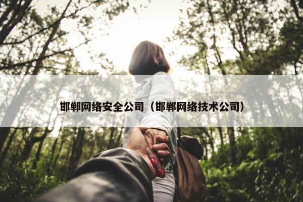 邯郸网络安全公司（邯郸网络技术公司）