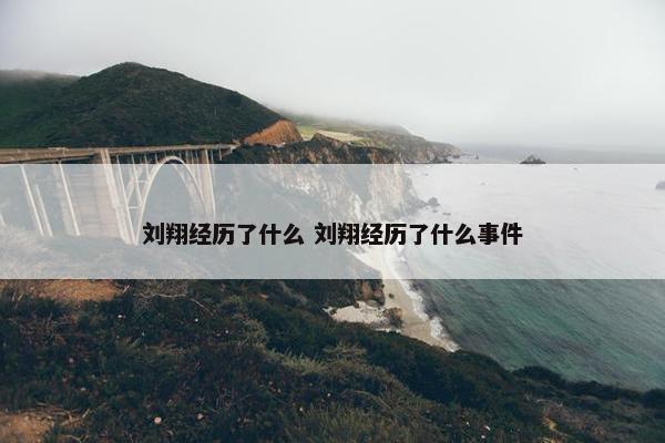 刘翔经历了什么 刘翔经历了什么事件