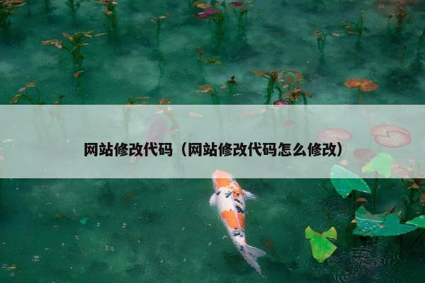 网站修改代码（网站修改代码怎么修改）