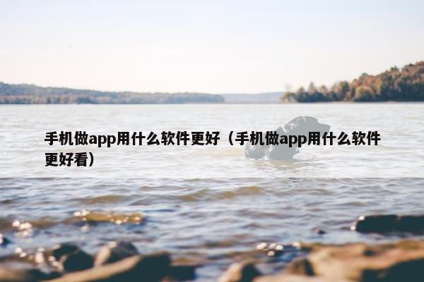 手机做app用什么软件更好（手机做app用什么软件更好看）