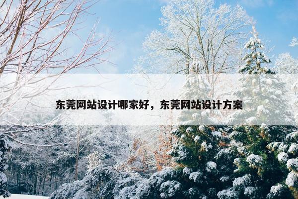 东莞网站设计哪家好，东莞网站设计方案