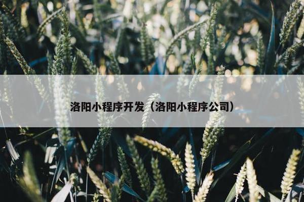 洛阳小程序开发（洛阳小程序公司）