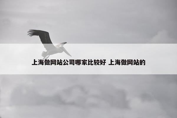 上海做网站公司哪家比较好 上海做网站的