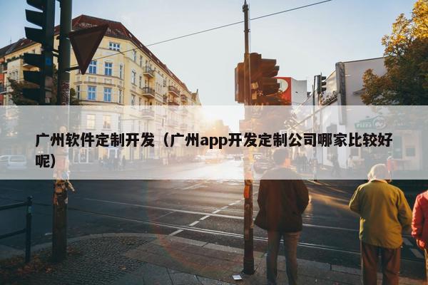 广州软件定制开发（广州app开发定制公司哪家比较好呢）