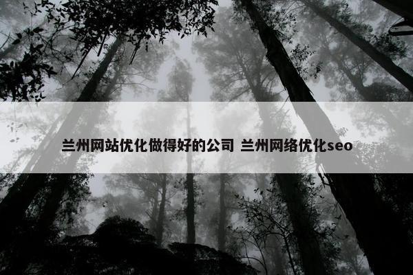 兰州网站优化做得好的公司 兰州网络优化seo