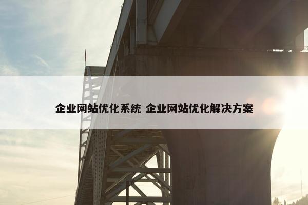 企业网站优化系统 企业网站优化解决方案