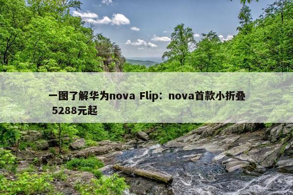 一图了解华为nova Flip：nova首款小折叠 5288元起