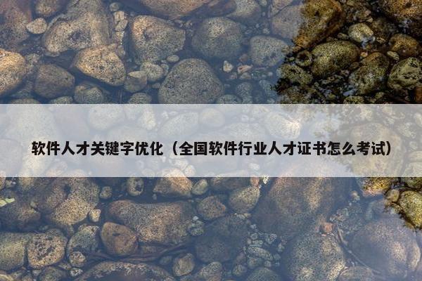 软件人才关键字优化（全国软件行业人才证书怎么考试）