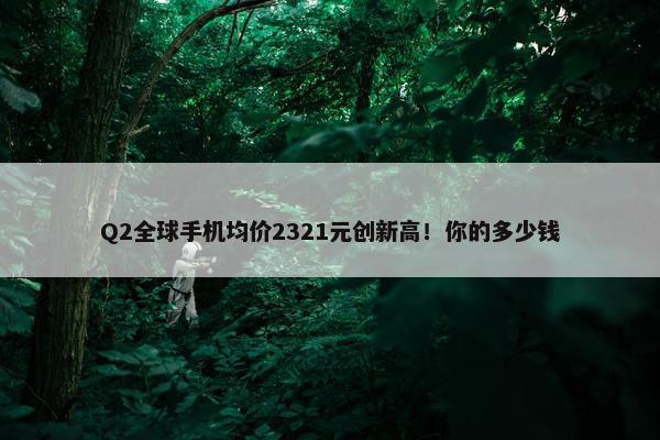 Q2全球手机均价2321元创新高！你的多少钱