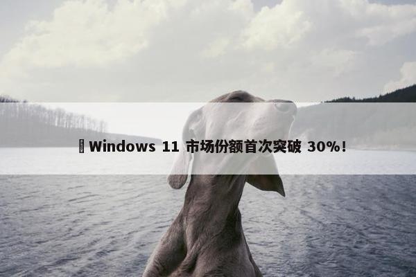 ​Windows 11 市场份额首次突破 30%！