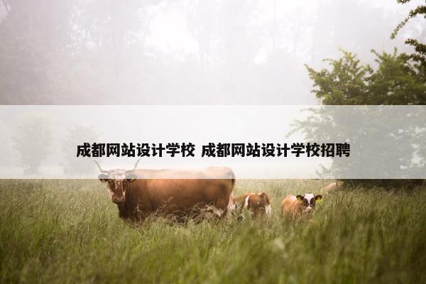 成都网站设计学校 成都网站设计学校招聘