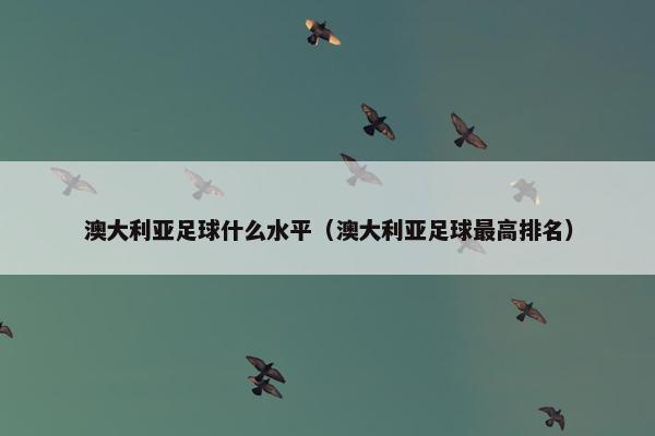 澳大利亚足球什么水平（澳大利亚足球最高排名）