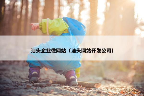 汕头企业做网站（汕头网站开发公司）