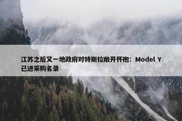 江苏之后又一地政府对特斯拉敞开怀抱：Model Y已进采购名录