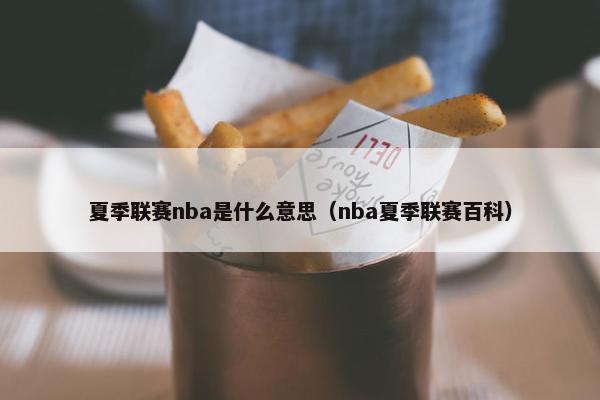 夏季联赛nba是什么意思（nba夏季联赛百科）