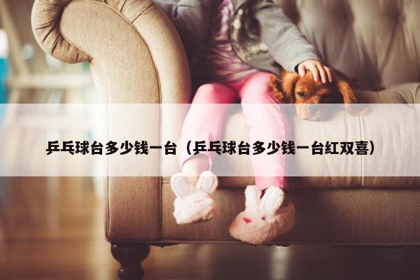 乒乓球台多少钱一台（乒乓球台多少钱一台红双喜）