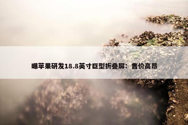 曝苹果研发18.8英寸巨型折叠屏：售价高昂