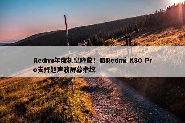 Redmi年度机皇降临！曝Redmi K80 Pro支持超声波屏幕指纹