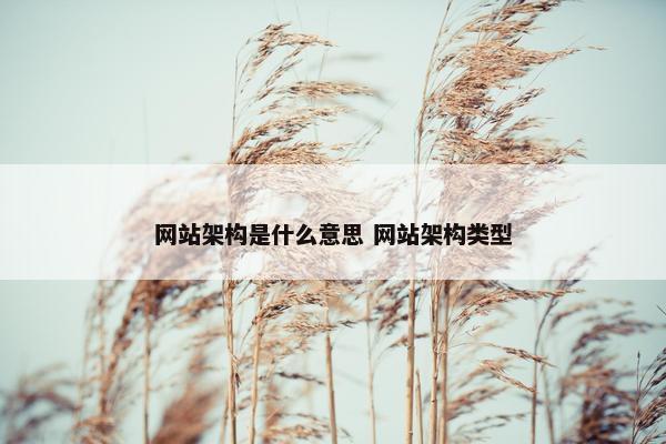 网站架构是什么意思 网站架构类型