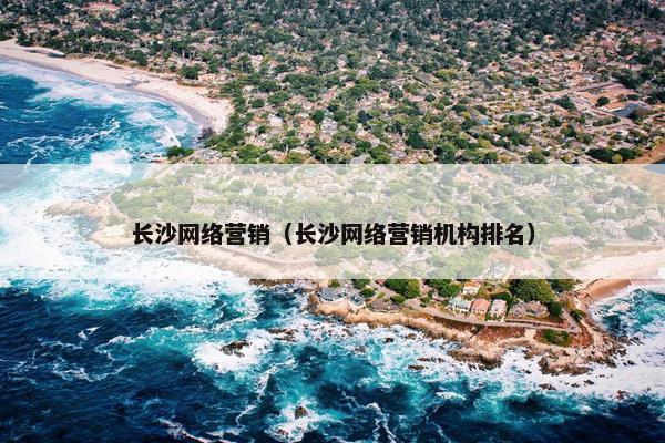 长沙网络营销（长沙网络营销机构排名）