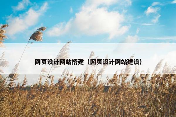 网页设计网站搭建（网页设计网站建设）