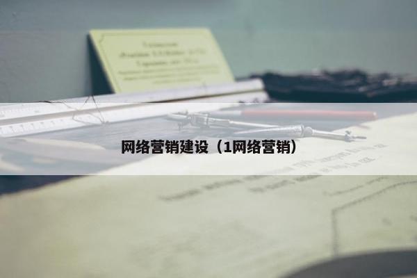 网络营销建设（1网络营销）