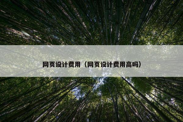 网页设计费用（网页设计费用高吗）