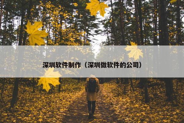 深圳软件制作（深圳做软件的公司）