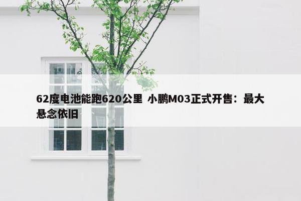 62度电池能跑620公里 小鹏M03正式开售：最大悬念依旧