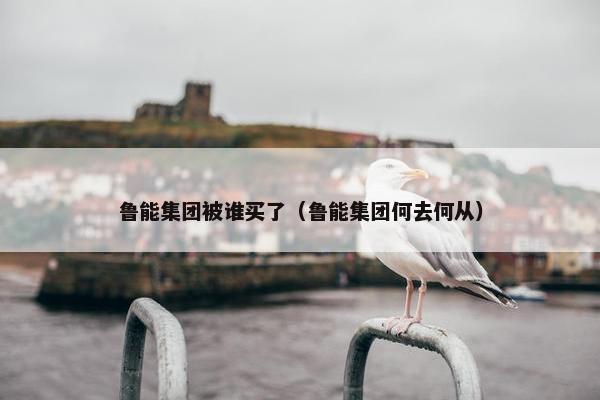 鲁能集团被谁买了（鲁能集团何去何从）