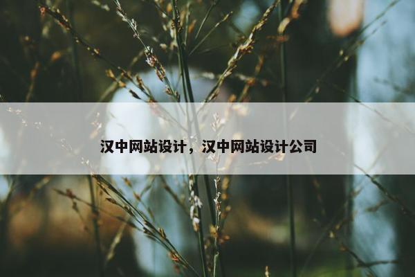 汉中网站设计，汉中网站设计公司