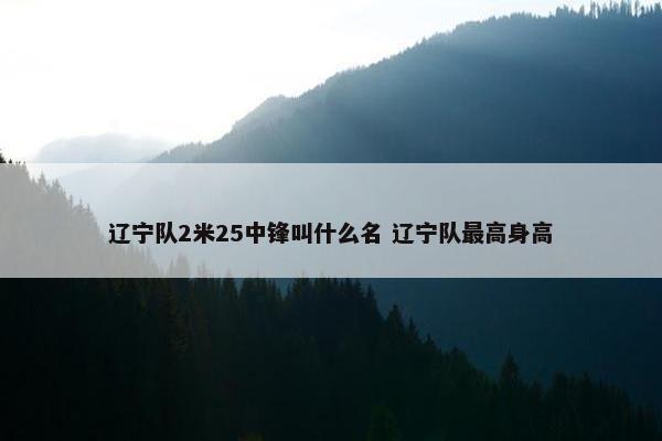 辽宁队2米25中锋叫什么名 辽宁队最高身高