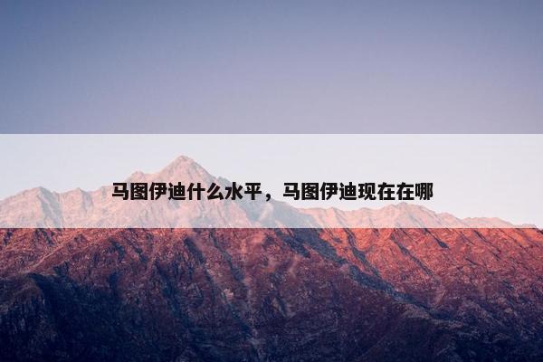 马图伊迪什么水平，马图伊迪现在在哪