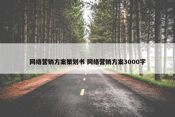 网络营销方案策划书 网络营销方案3000字