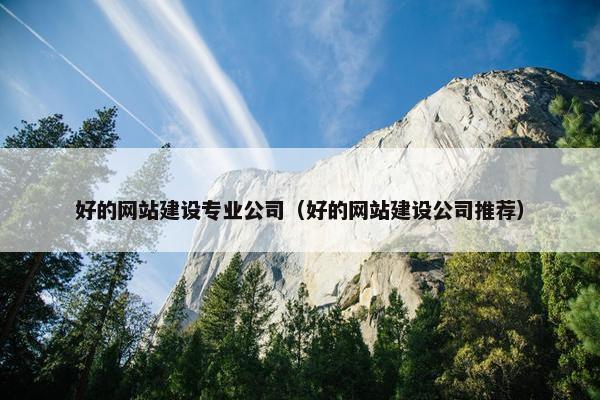 好的网站建设专业公司（好的网站建设公司推荐）