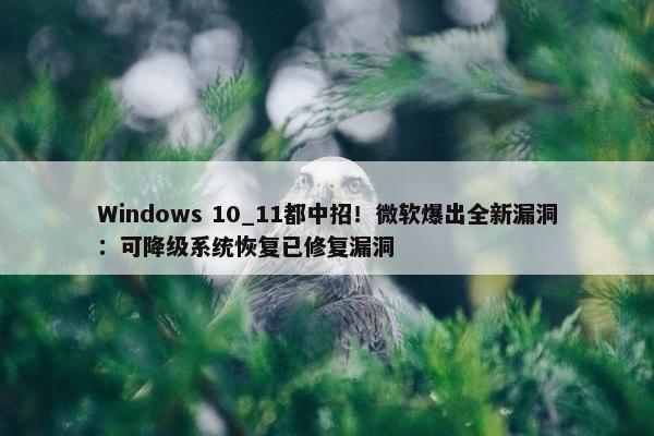 Windows 10_11都中招！微软爆出全新漏洞：可降级系统恢复已修复漏洞