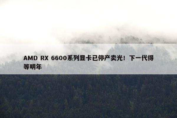 AMD RX 6600系列显卡已停产卖光！下一代得等明年