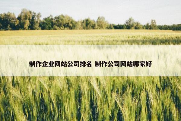 制作企业网站公司排名 制作公司网站哪家好