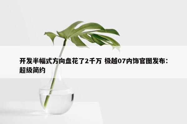 开发半幅式方向盘花了2千万 极越07内饰官图发布：超级简约