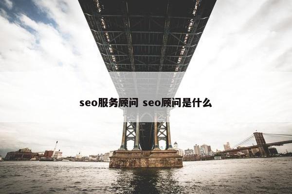 seo服务顾问 seo顾问是什么