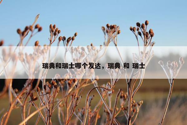 瑞典和瑞士哪个发达，瑞典 和 瑞士