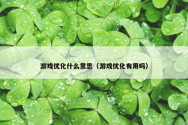 游戏优化什么意思（游戏优化有用吗）