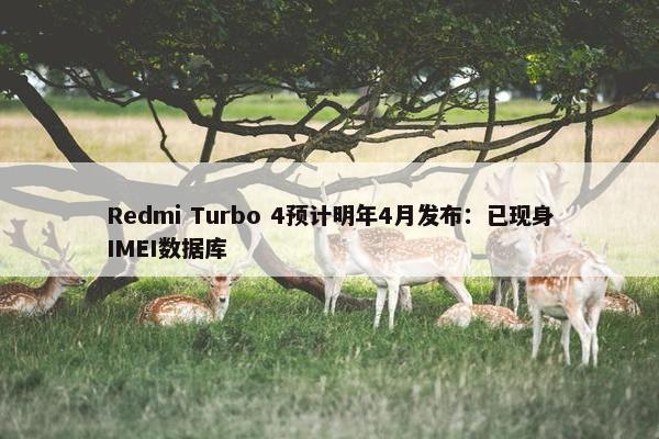 Redmi Turbo 4预计明年4月发布：已现身IMEI数据库