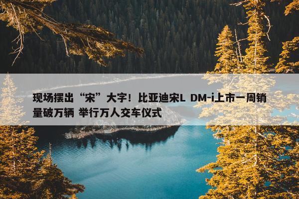 现场摆出“宋”大字！比亚迪宋L DM-i上市一周销量破万辆 举行万人交车仪式