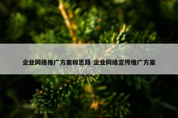 企业网络推广方案和思路 企业网络宣传推广方案