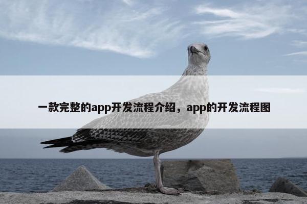 一款完整的app开发流程介绍，app的开发流程图